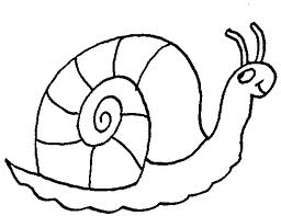 snail